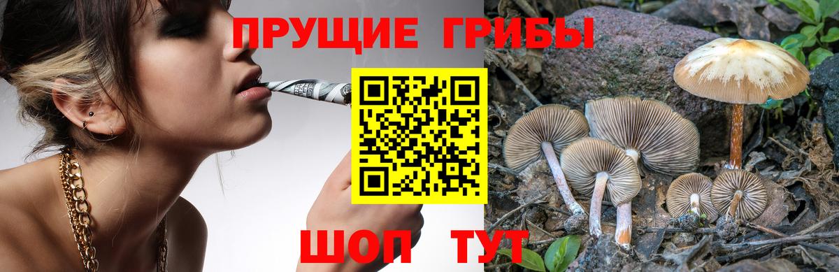 Псилоцибиновые грибы MAGIC MUSHROOMS  Вход с VPN  Сатка 